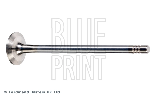 Exhaust Valve